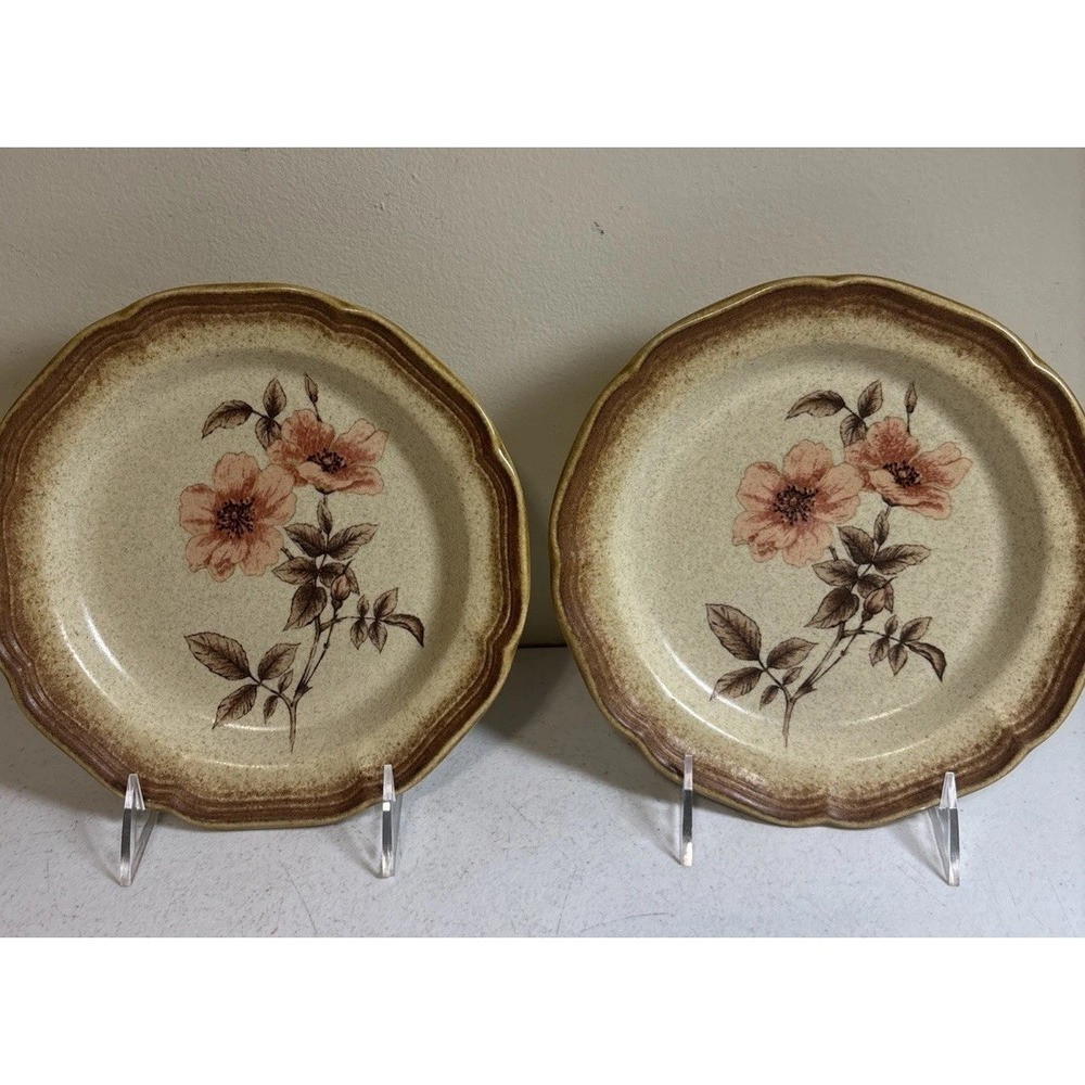 Mikasa Whole Wheat ROSE DUET Salad Plates 8" E8015 Set of 2 Japan Vintage‎ EUC